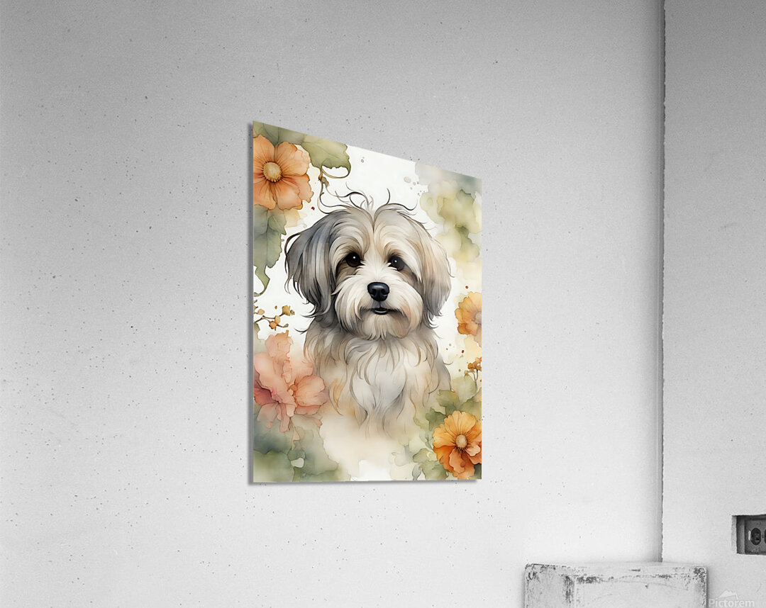 Cute Havanese Dog 1 Acrylic Print