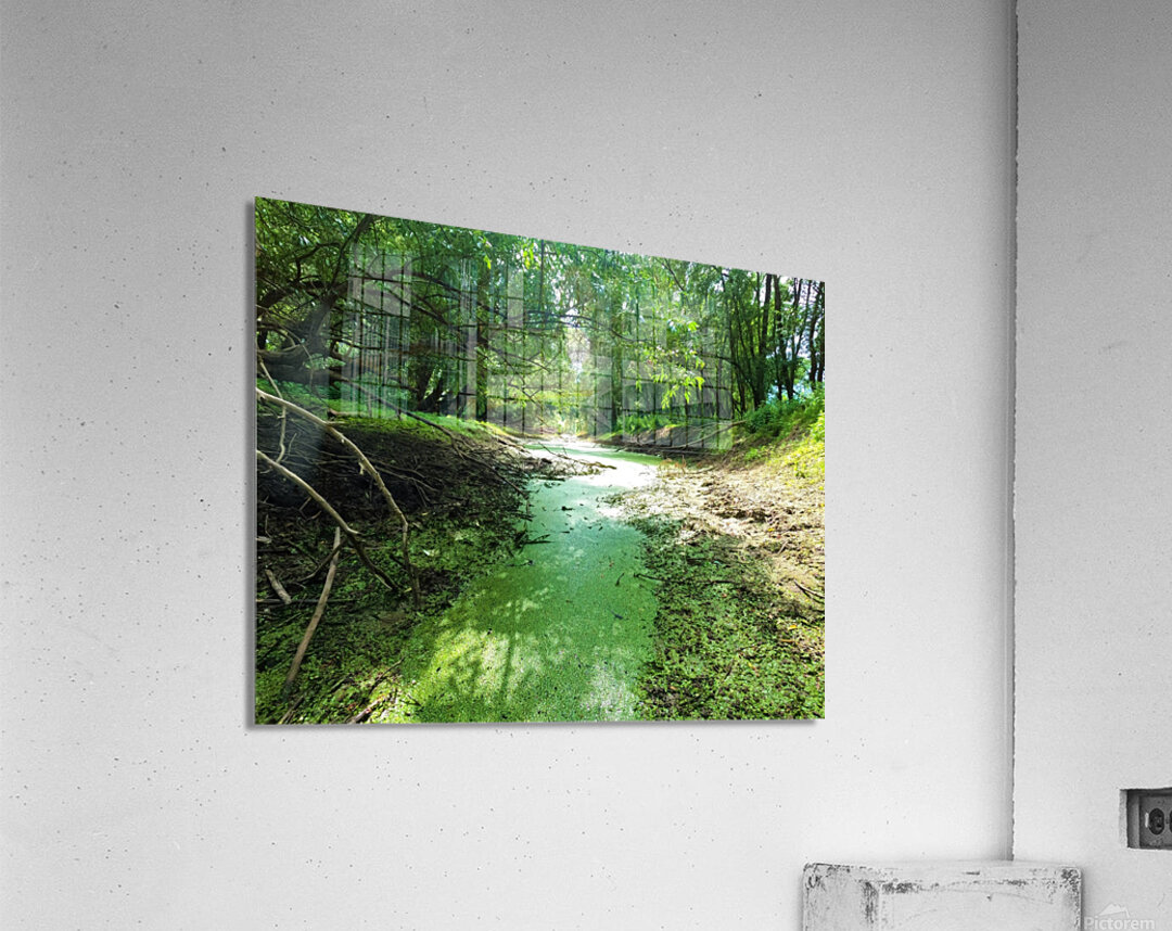 Dry Creek II Acrylic Print