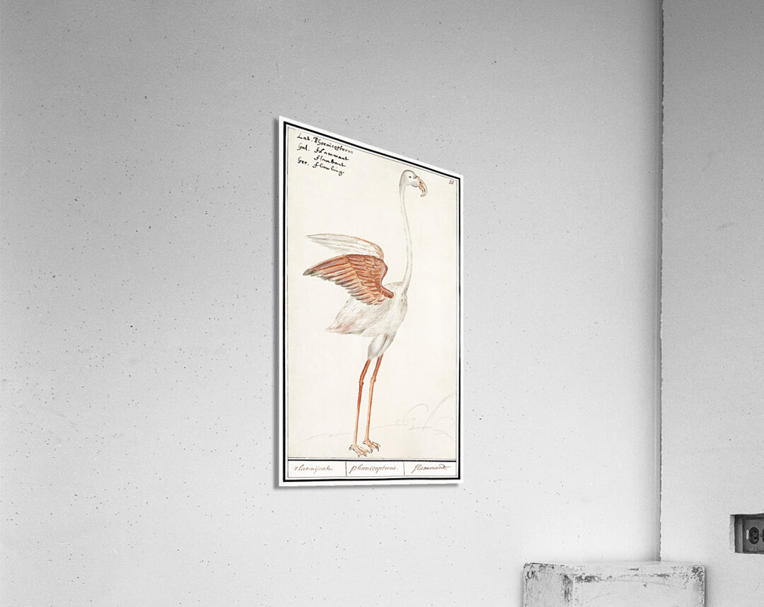 Flamingo in vintage style Acrylic Print