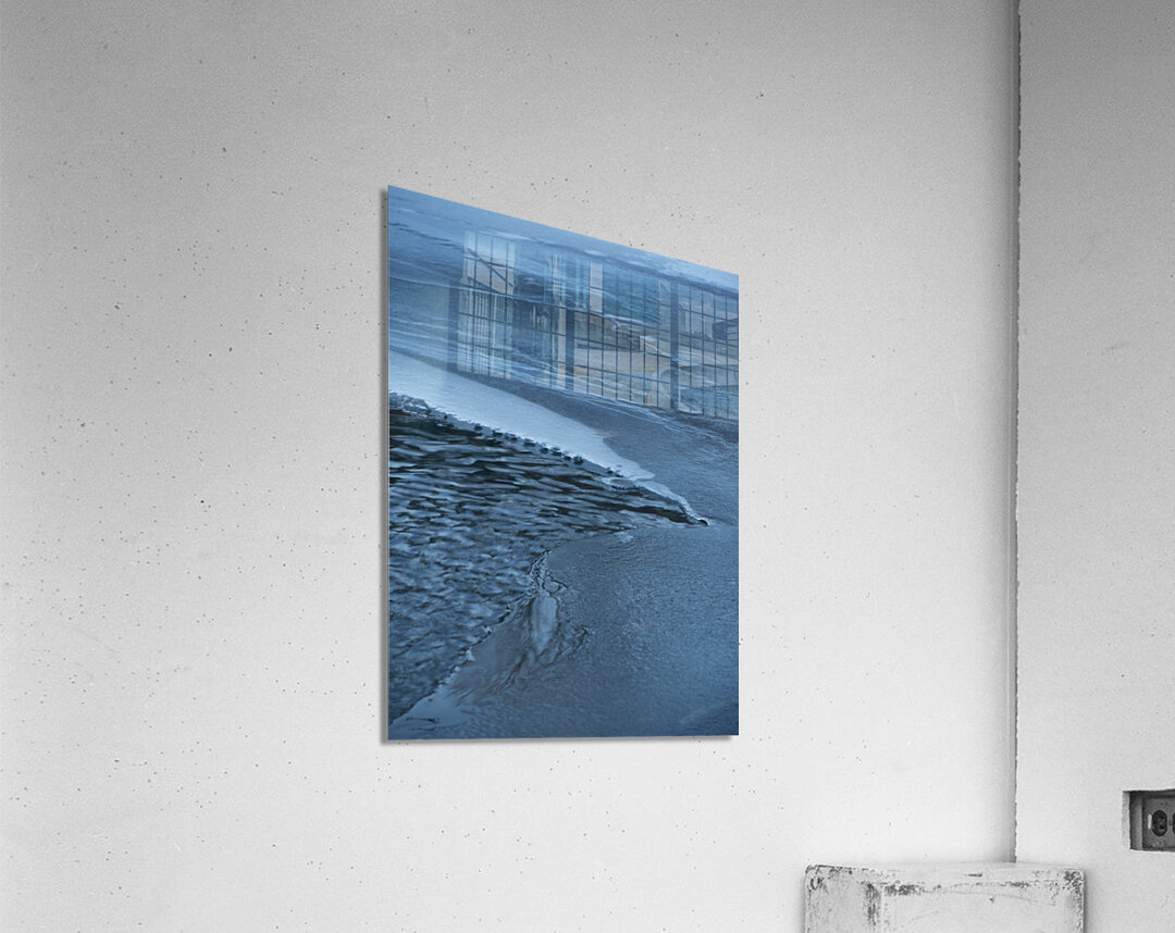 ChatPond2 Acrylic Print