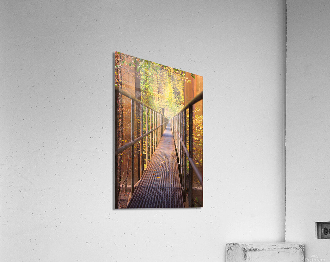 Fall Pipe Line Run 16x24 Acrylic Print