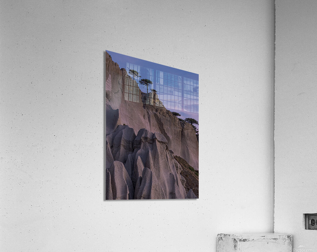 Pehuenco Acrylic Print