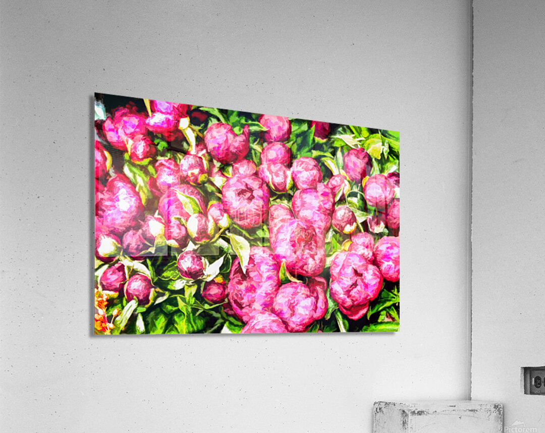 Peonies in an Amsterdam Market Acrylic Print