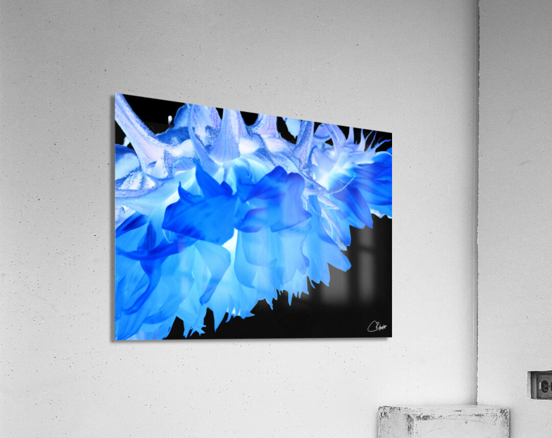  Blue Sunflowers Edge Acrylic Print