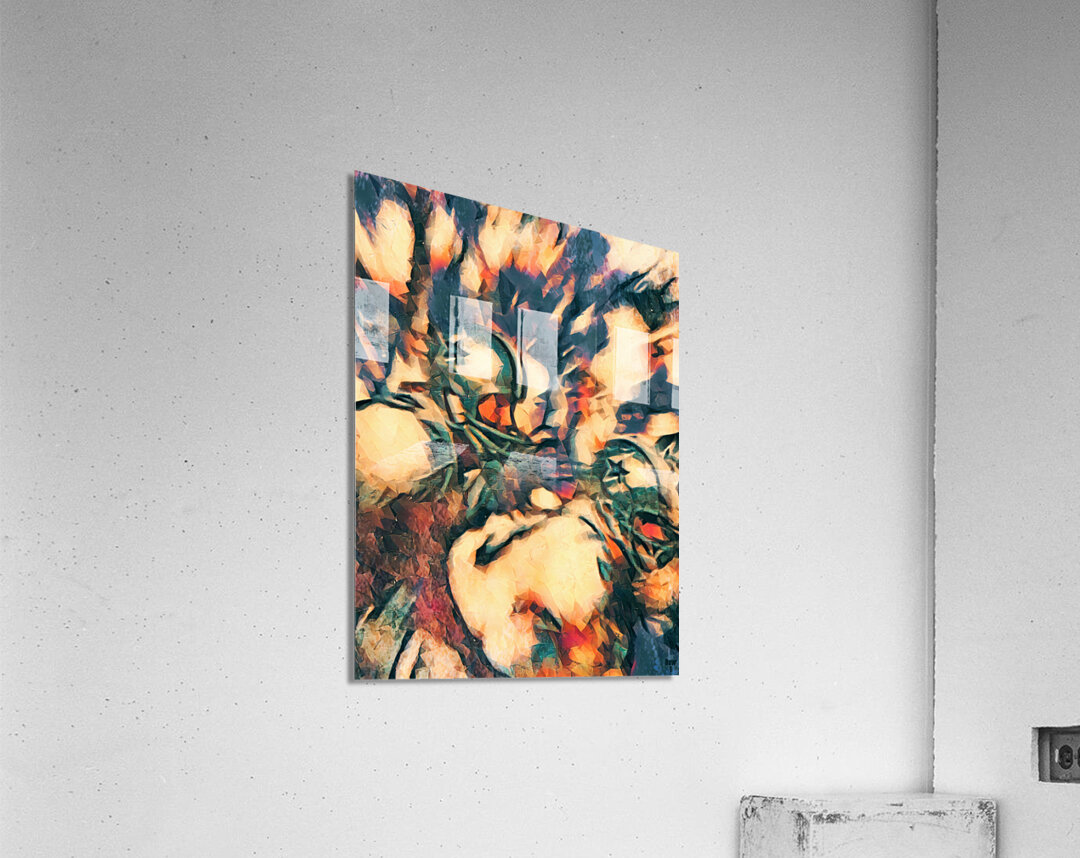 Dallas Cowboys Throwback Abstract Art Acrylic Print