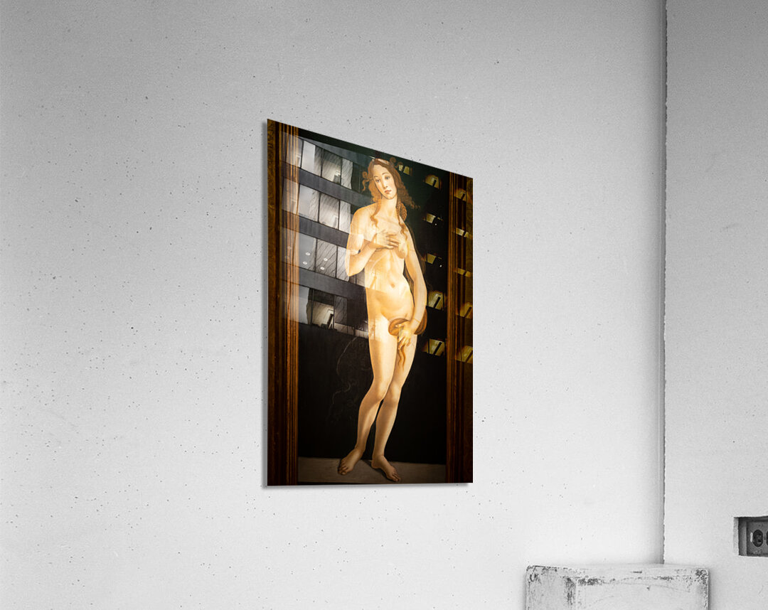 The painting of Venus by Sandro Botticelli oil on canvas 1490 Acrylic Print