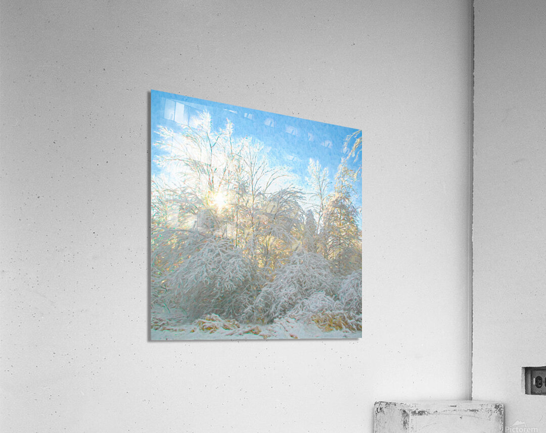 After the Ice Storm Acrylic Print