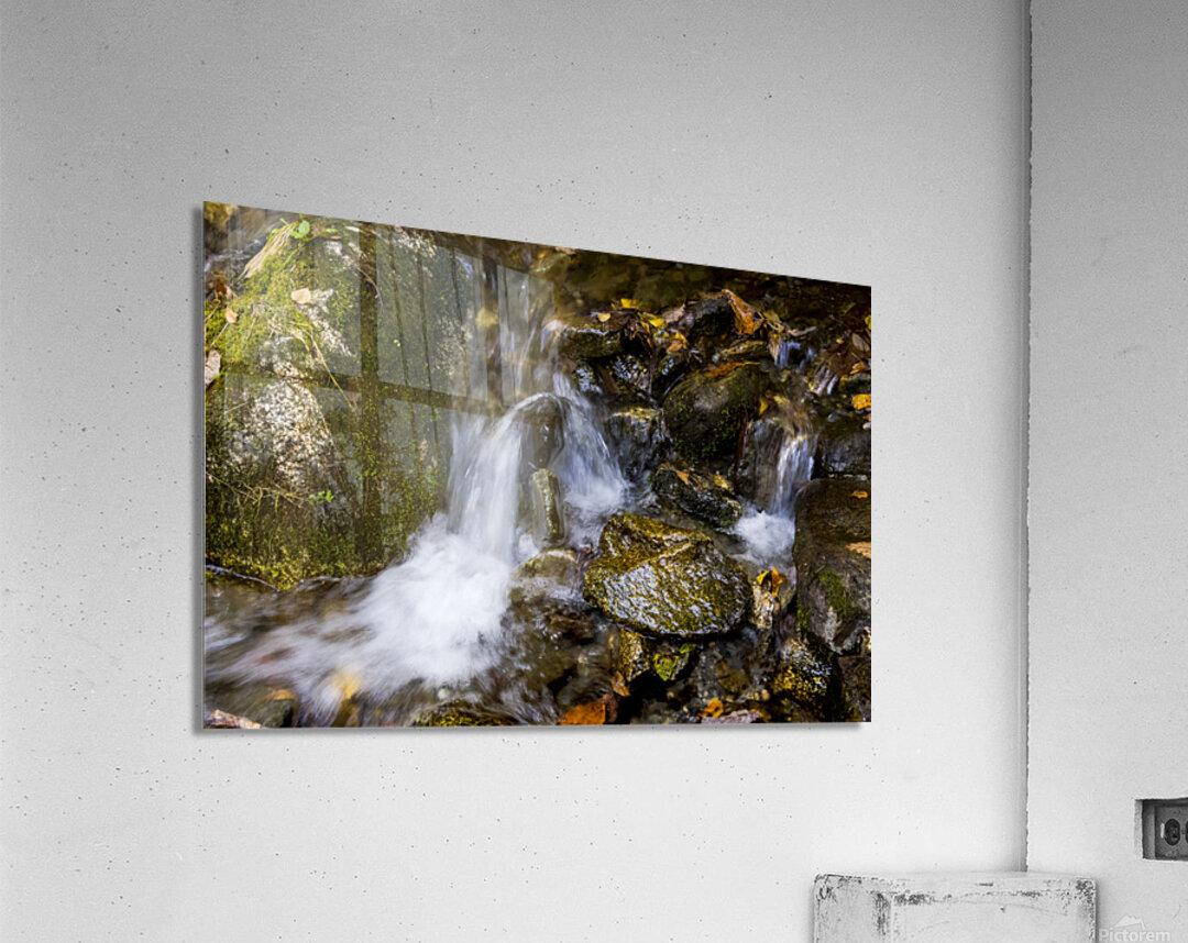 Blue Ridge Parkway Mountain Stream in  Autumn Acrylic Print