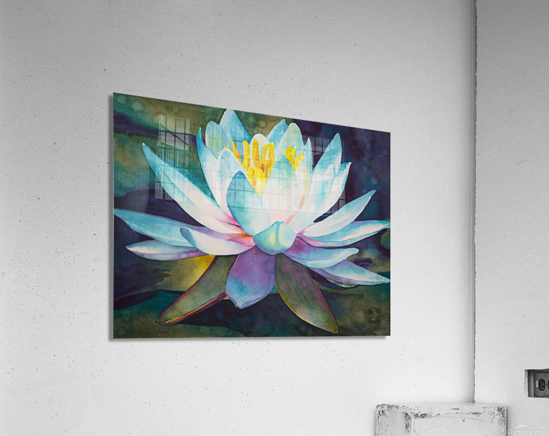 Lily on the water Acrylic Print