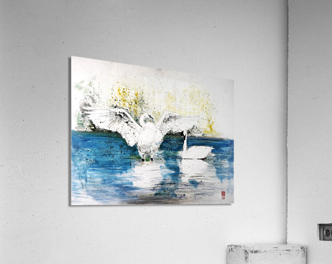 Trumpet Swans Acrylic Print