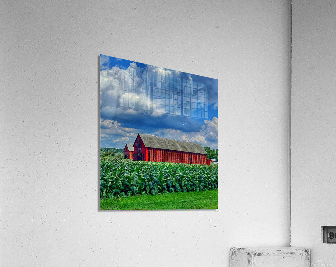 03 Summer on Horton Farm Acrylic Print