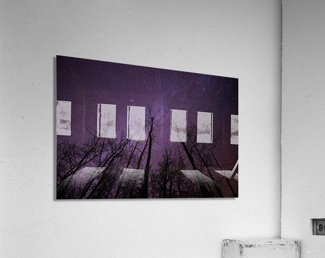 Winters Canopy: Stellar Skies Above Pinehouse Lakes Forest Acrylic Print