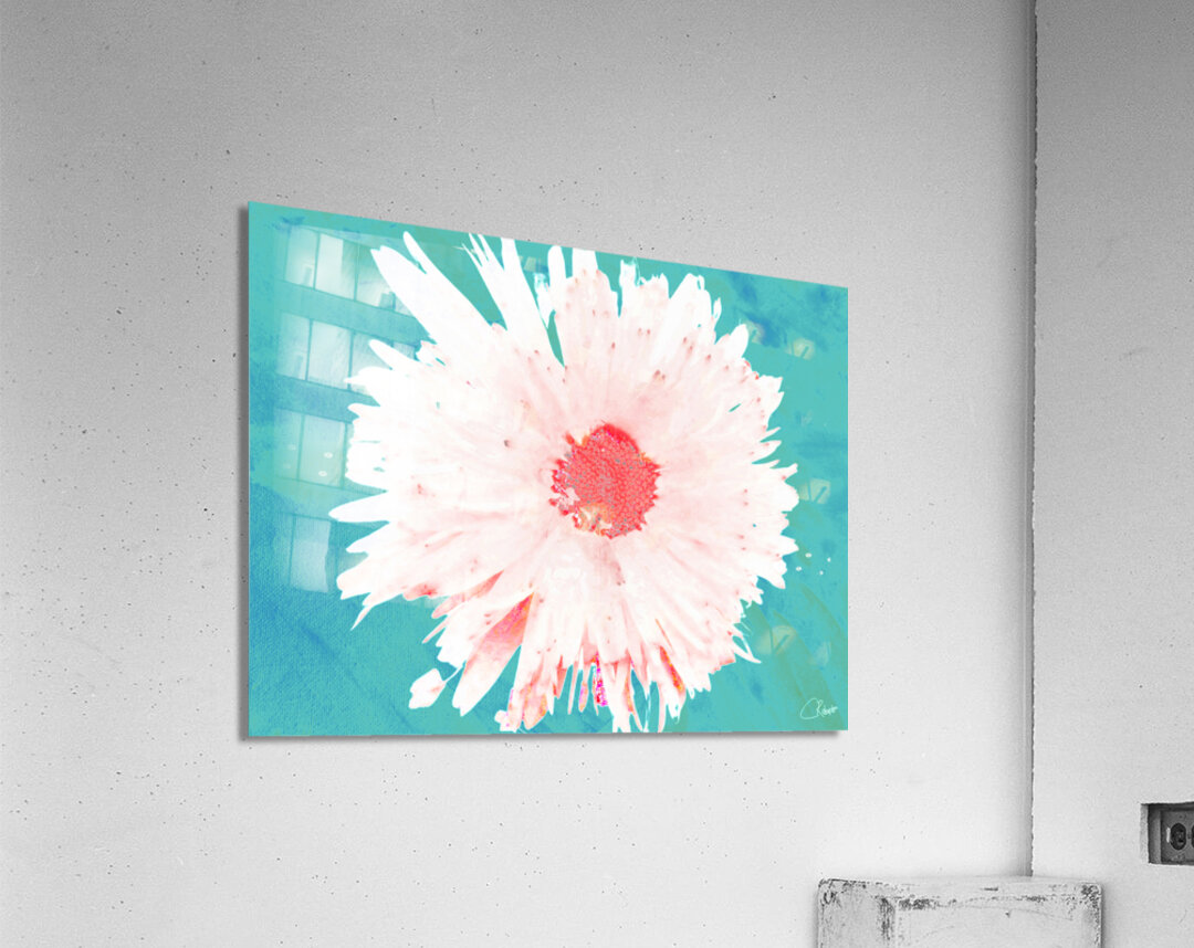 Pink Daisy on a Green  Abstract Background  Acrylic Print