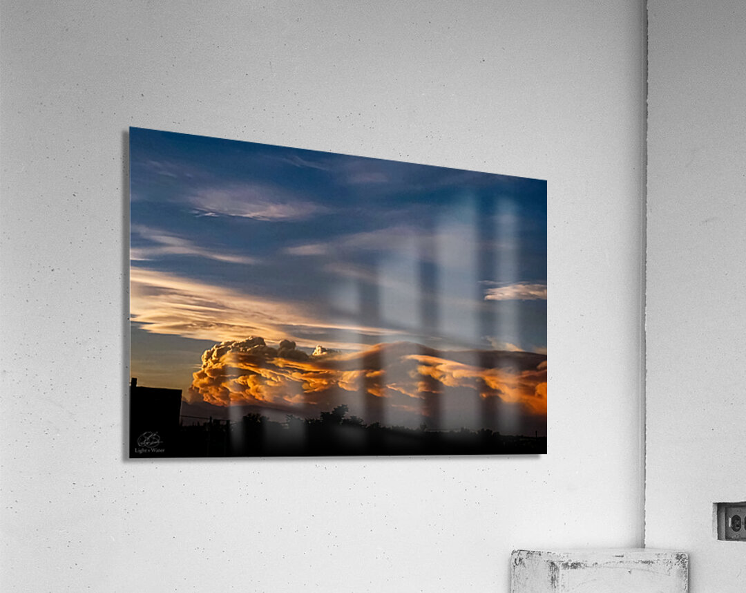 Terrible Beauty Acrylic Print