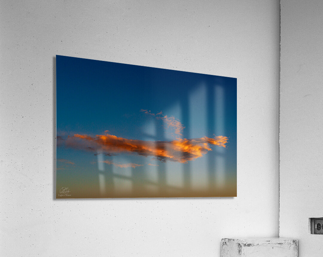 Take Flight Acrylic Print