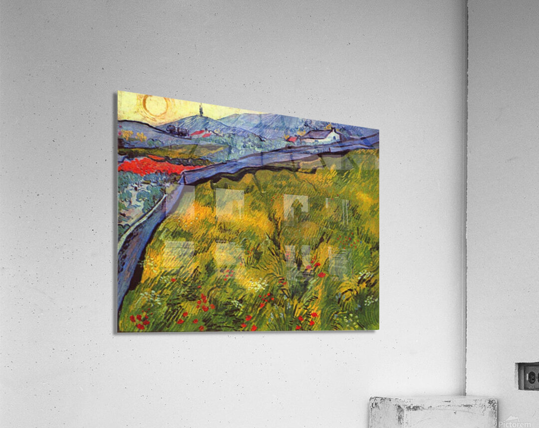 Vincent Willem van Gogh 007 Acrylic Print