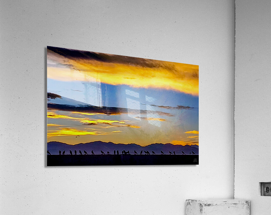 Murder at Sunset Acrylic Print