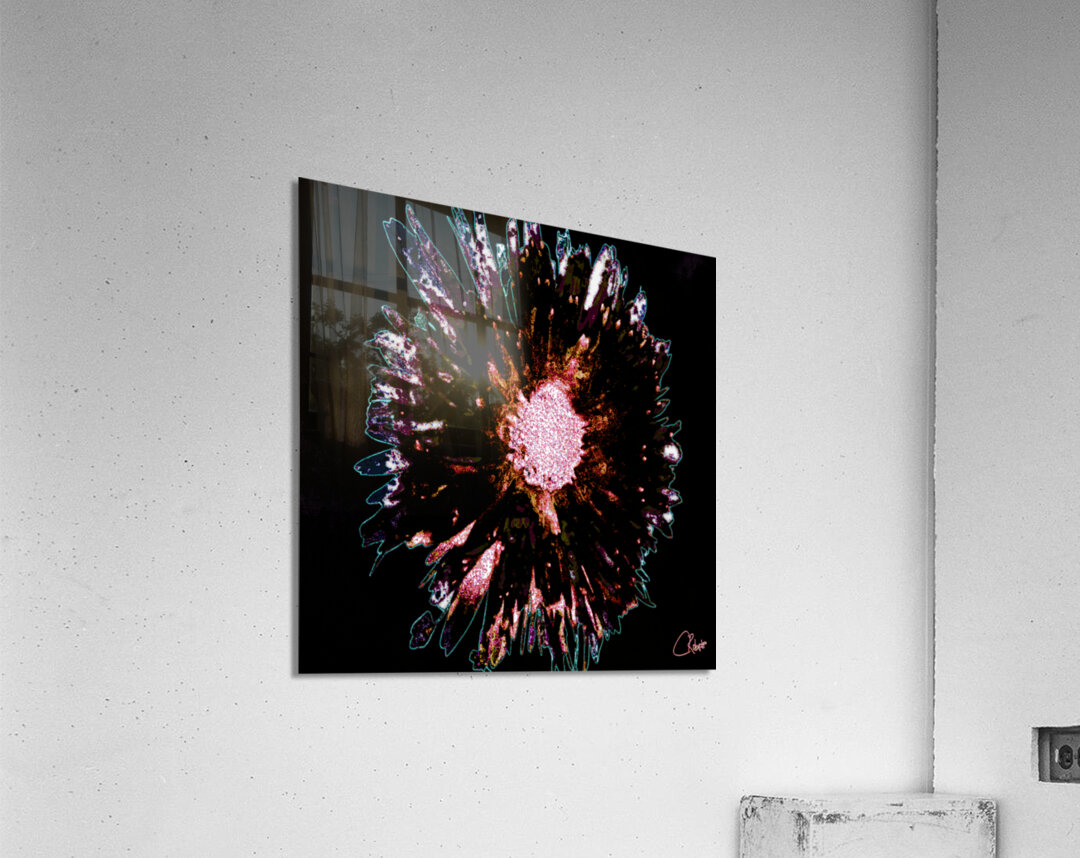 Dark Burgundy Daisy Flower on a Dark Abstract Background Acrylic Print