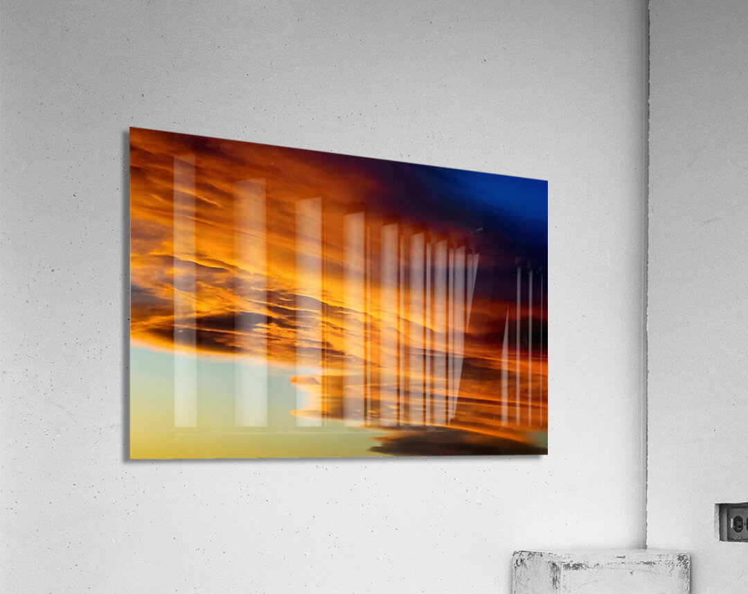 Showing Off Acrylic Print