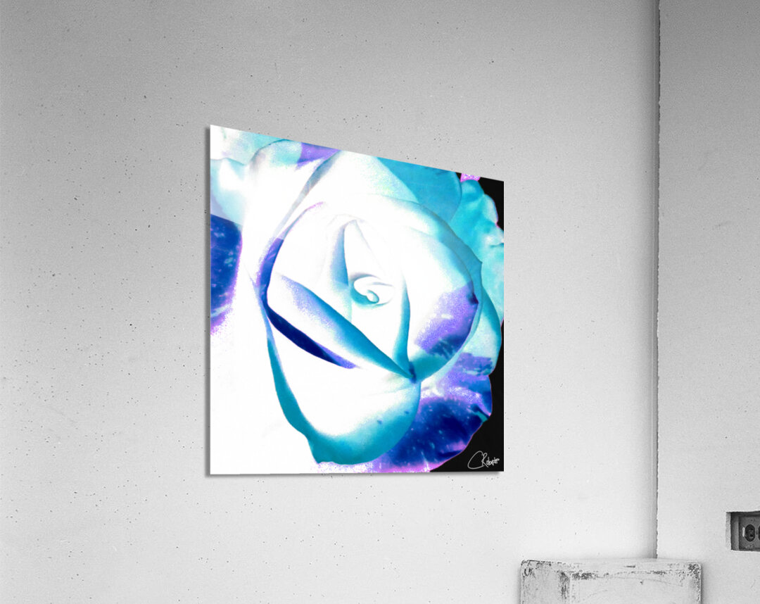 Abstract Multicoloured Rose on a Dark Abstract Background  Acrylic Print