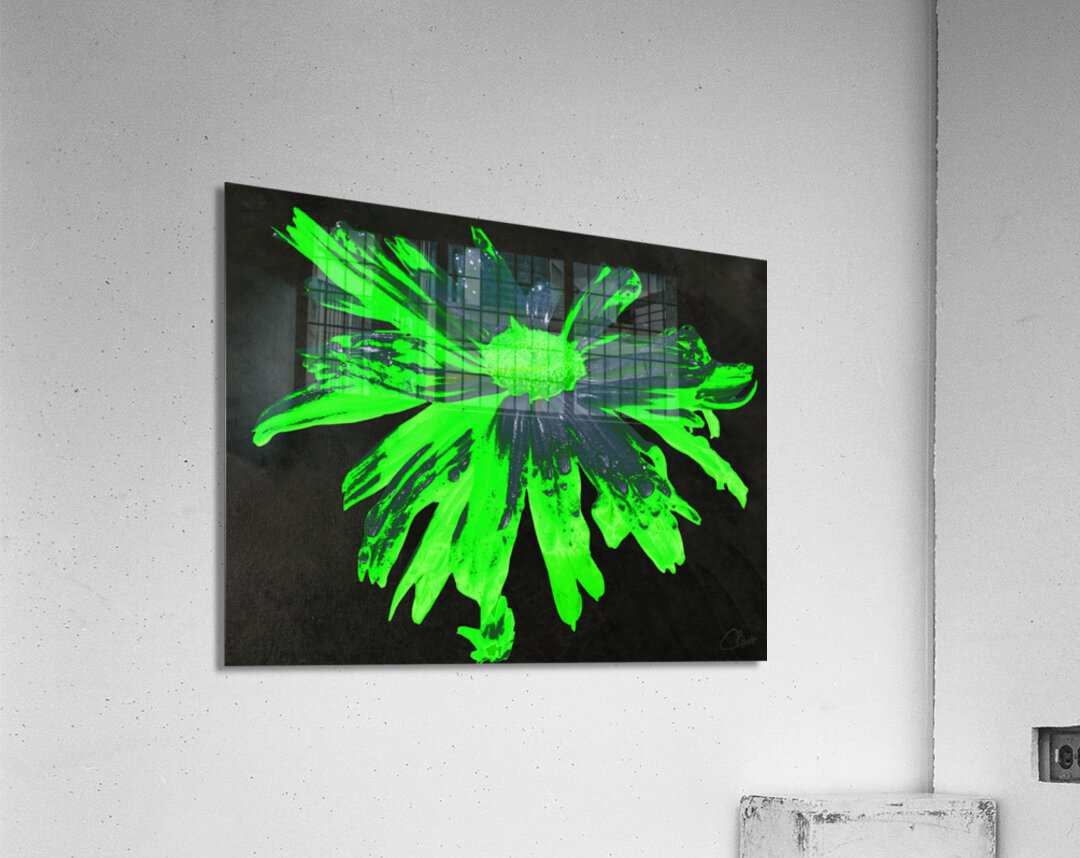 Abstract Neon Green Daisy Flower on a Dark Abstract Background  Acrylic Print