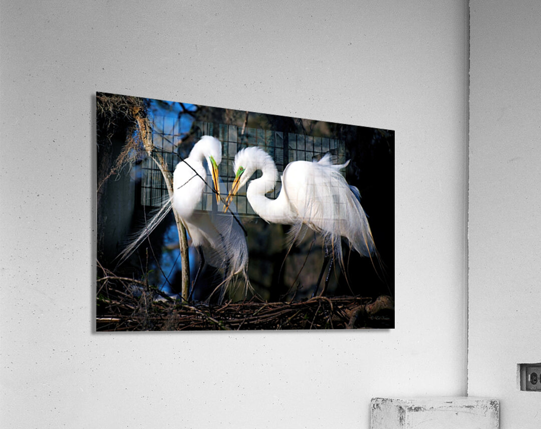 WORKING TOGETHER Acrylic Print