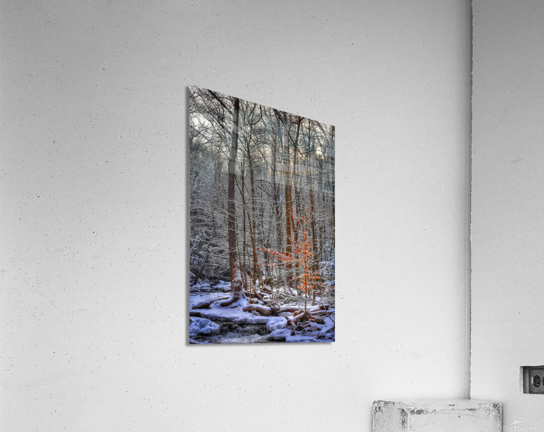 G19 Shining Light Acrylic Print