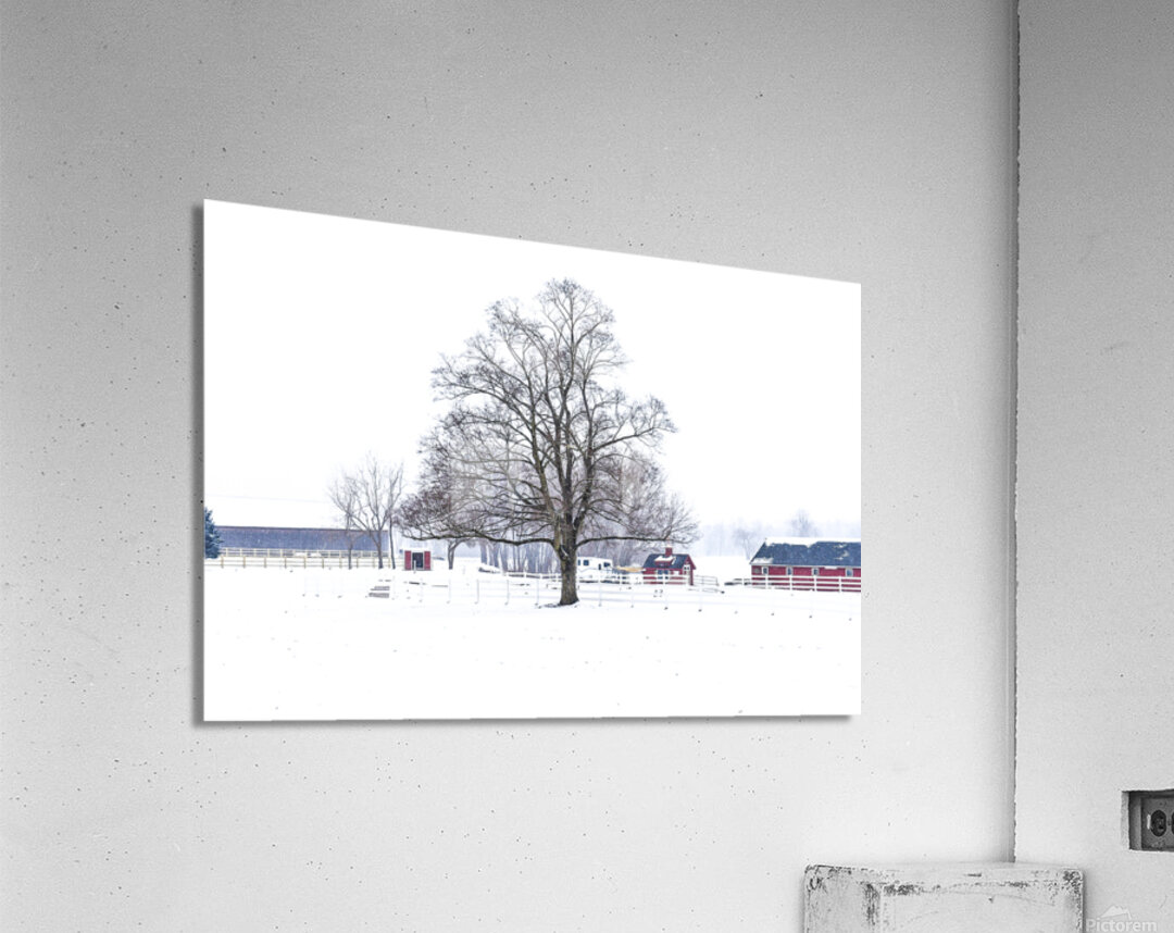 G02 Snow Day on the Farm Acrylic Print