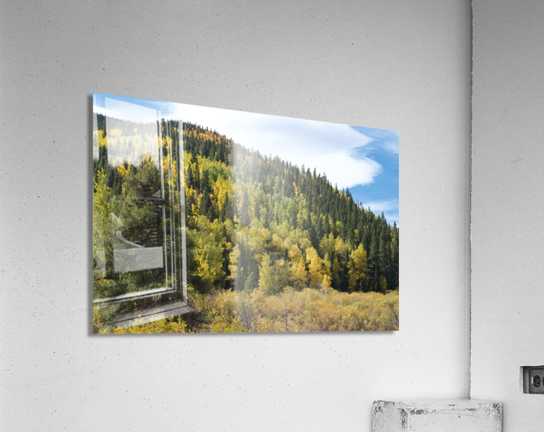 Fall Colors 3 Acrylic Print