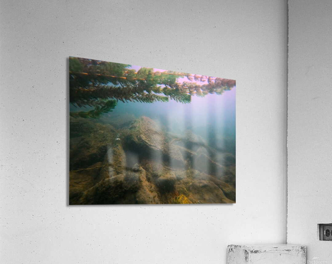 Crouching Whitefish Hidden Bottle Acrylic Print