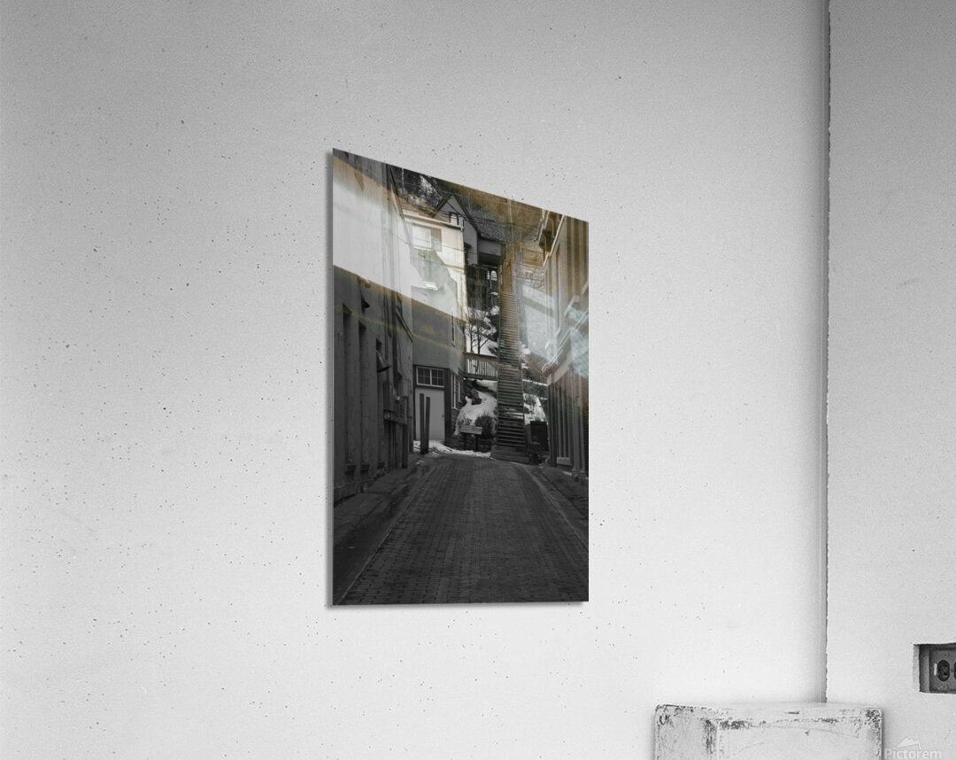 Looking Up Acrylic Print