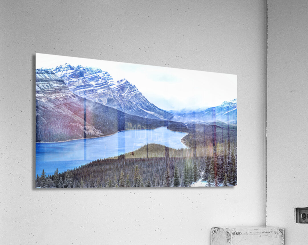 Peyto Lake Winter veil: A Canvas of Dark Evergreens and Snowy Serenity Acrylic Print