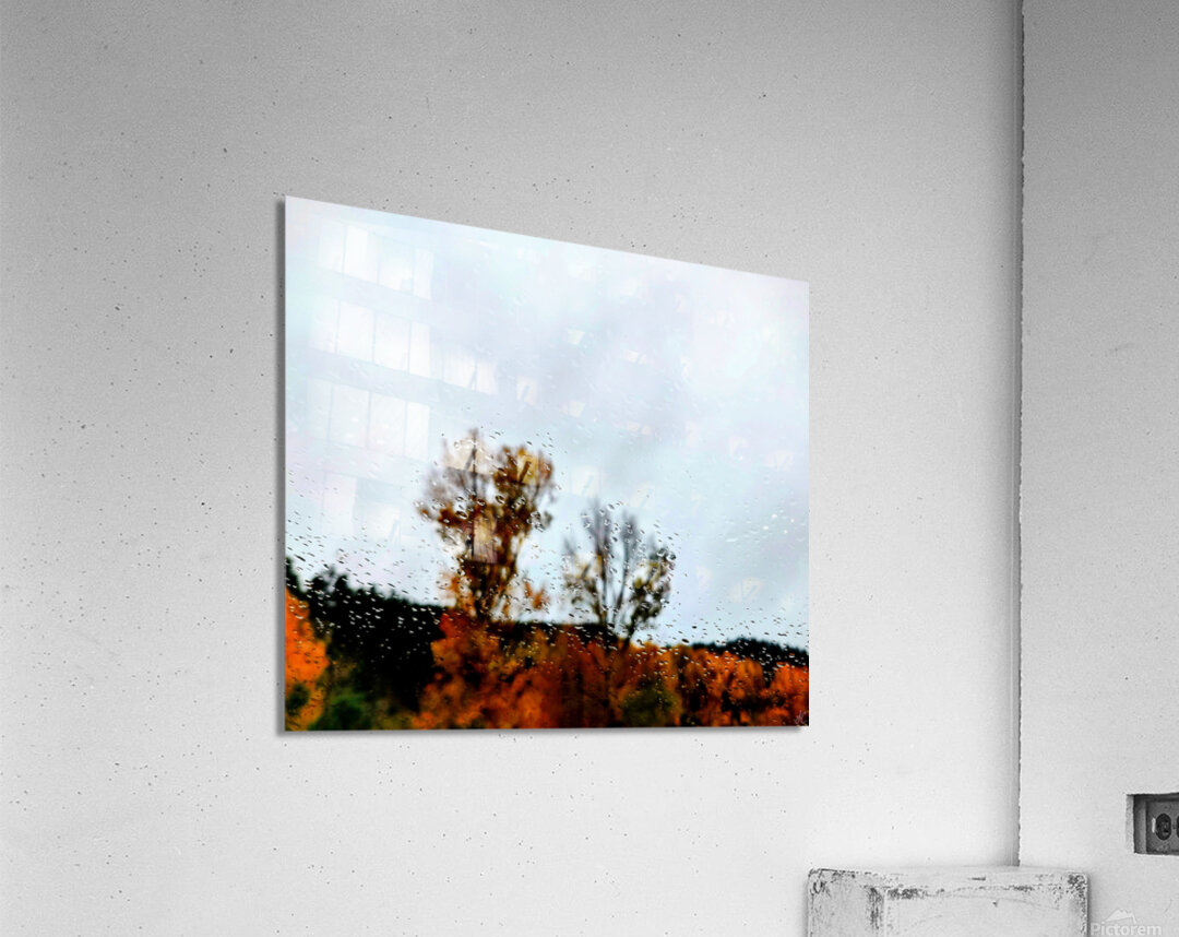 Roadside Fall Acrylic Print