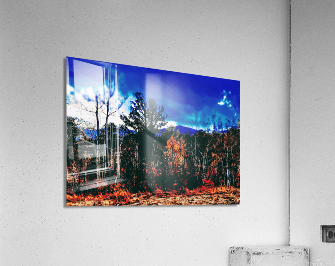 The Secret Forest Acrylic Print