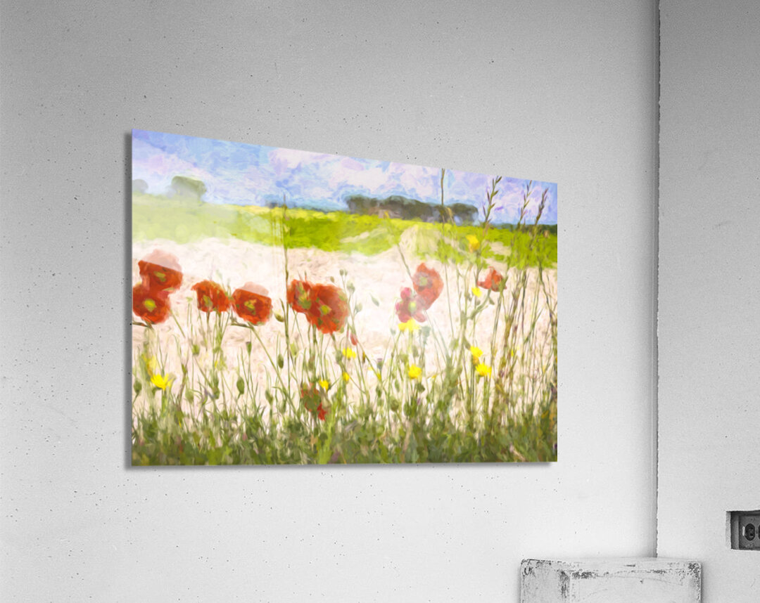 Artistic French Roadside Poppies Acrylic Print
