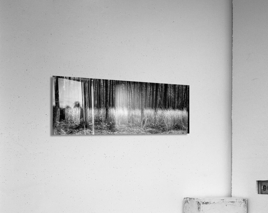 Infrared Forest Acrylic Print