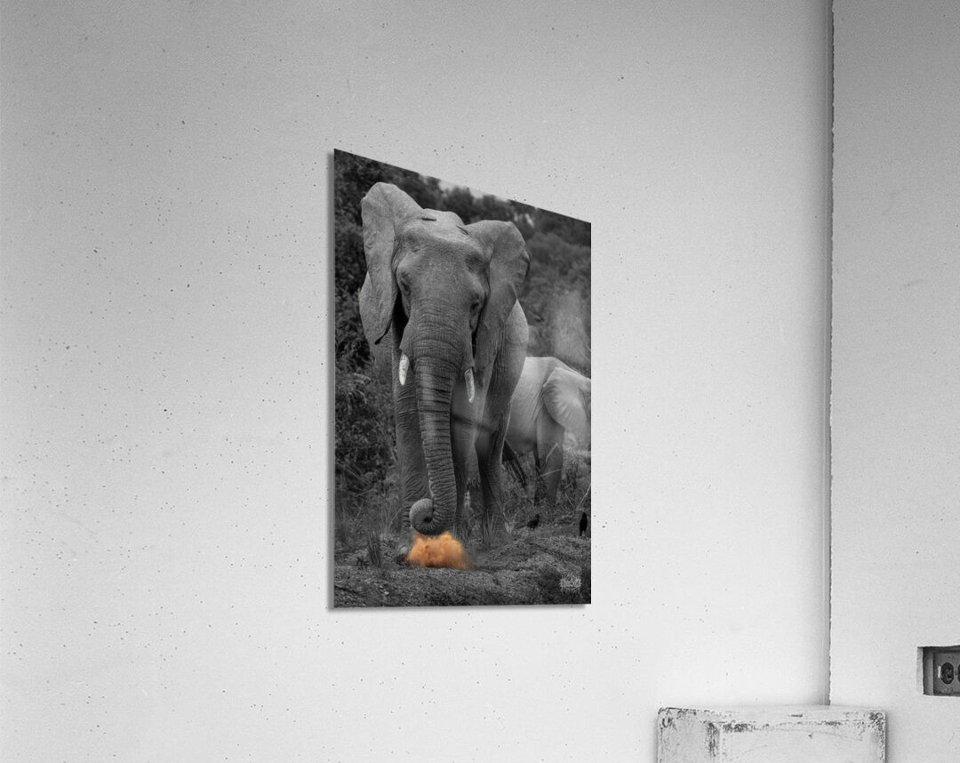 Musthve Been Acrylic Print