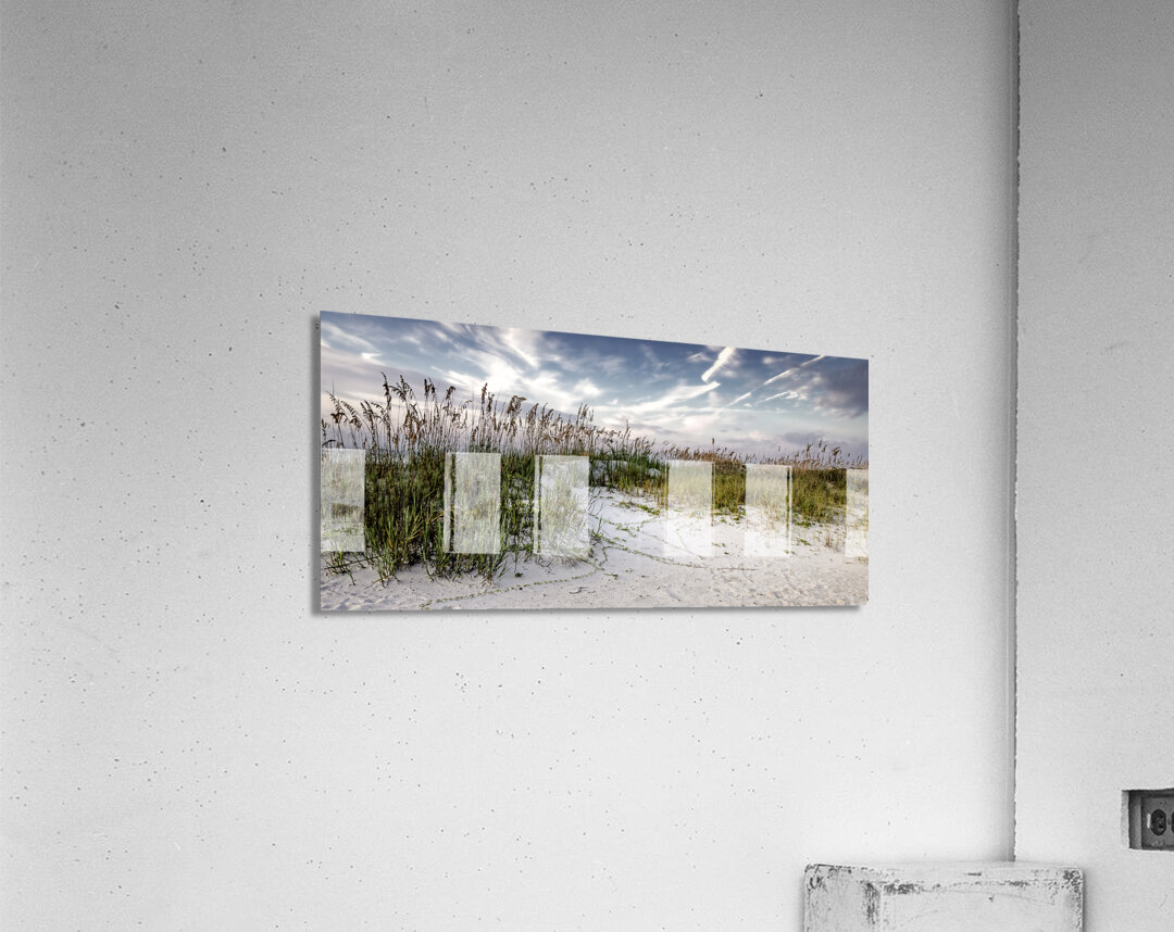 Hilton Head Sand Dunes Acrylic Print