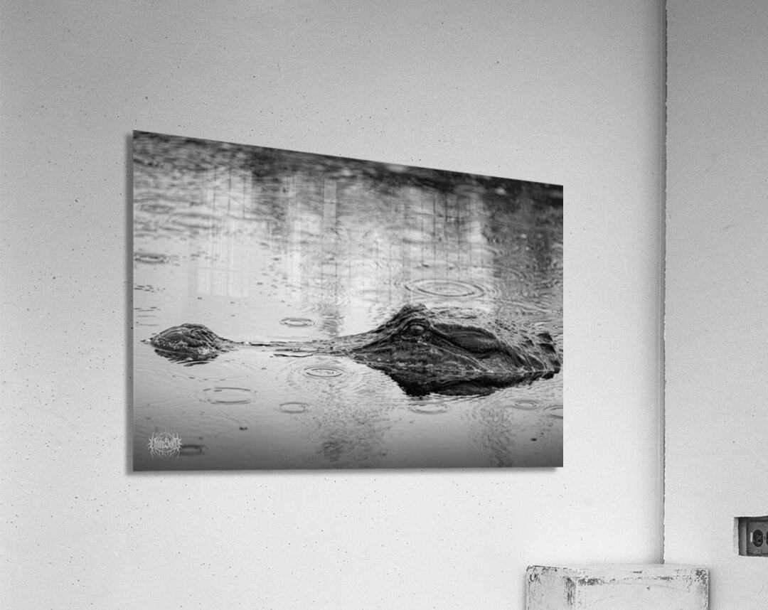 Whos the Real Villian Acrylic Print