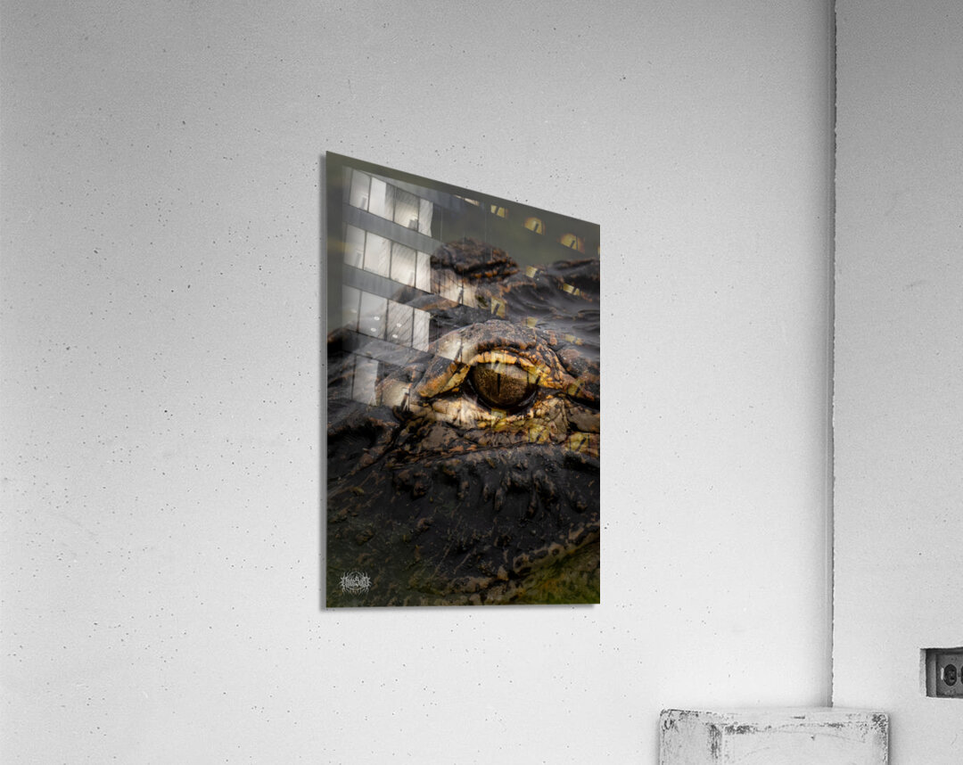 Eye Sly Acrylic Print