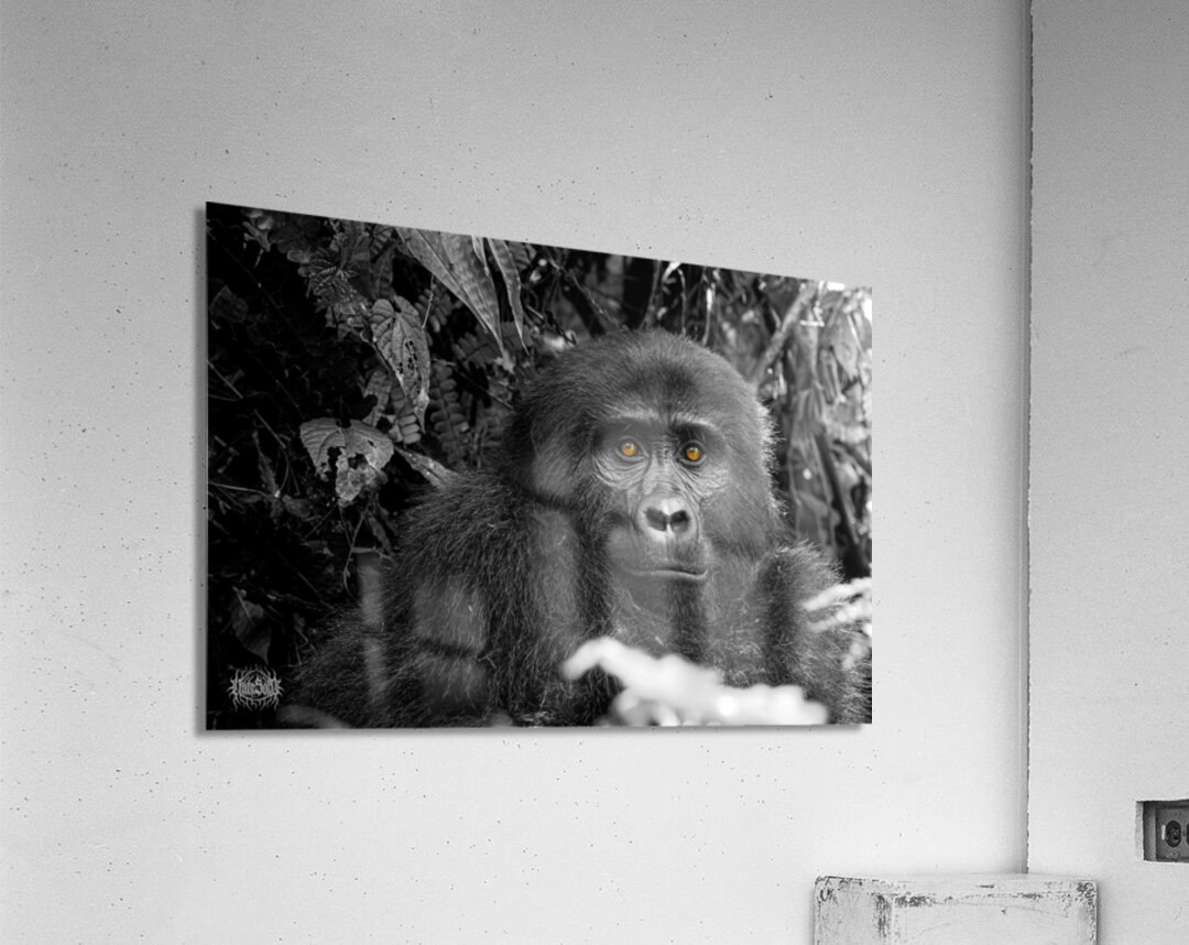 We Are Here Now Acrylic Print