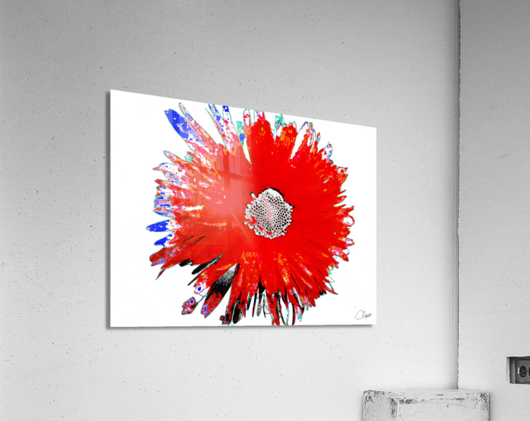 Lighter   Distressed Dasiy on  Abstract Background Acrylic Print