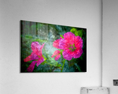 Fleurs d'artifices Acrylic Print