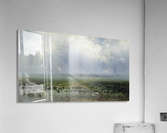 A swamp Acrylic Print