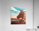 Unclaimed Freedom Acrylic Print