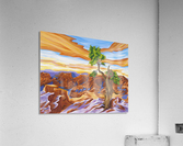 Sedona  Acrylic Print