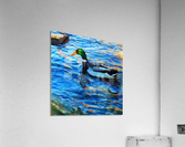 FB_IMG_1509023043621 Acrylic Print