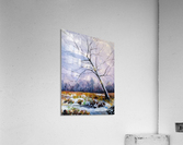 Walnut Tree Acrylic Print