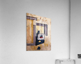 Venice_final Acrylic Print