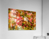 Sparrow In The Apple Tree Acrylic Print